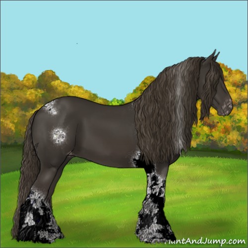 Horse Color:Smoky Black Tobiano Appaloosa 