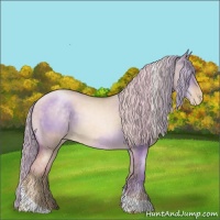 Horse Color:Chocolate Palomino Pearl Dun Tobiano Appaloosa 