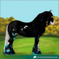 Horse Color:White Spotted Chocolate Palomino Pearl Onyx Tobiano Varnish Rabicano 
