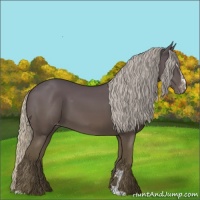 Horse Color:Silver Black Sabino Appaloosa 