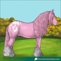 Horse Color:Watercolor White Spotted Black Tobiano Appaloosa Rabicano