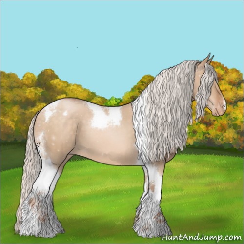 Horse Color:Silver Bay Pearl Dun Tobiano Appaloosa 