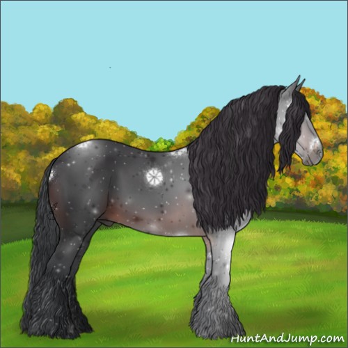 Horse Color:Brown Sabino
