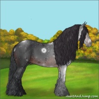 Horse Color:Brown Sabino 