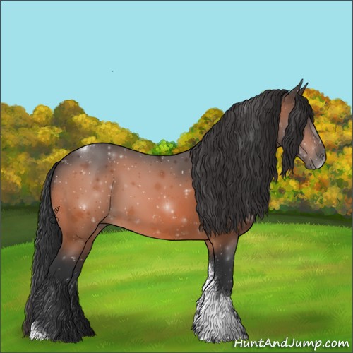 Horse Color:Bay Tobiano 