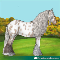 Horse Color:Silver Brown Dun Tobiano Appaloosa 