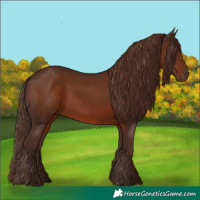 Horse Color:Liver Chestnut 