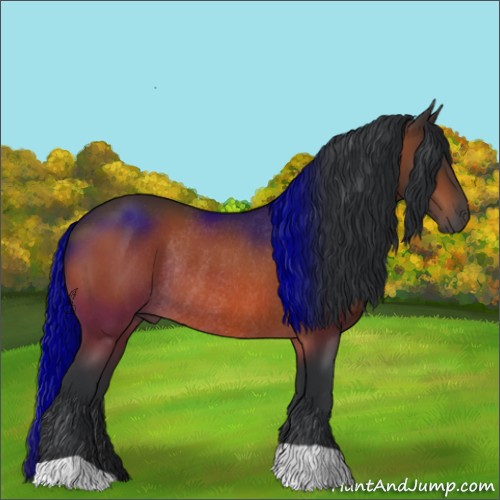 Horse Color:Brown Rabicano 