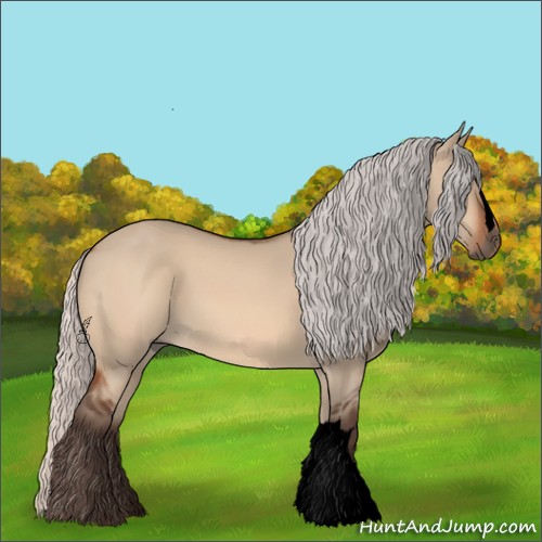 Horse Color:Void Silver Bay Dun 