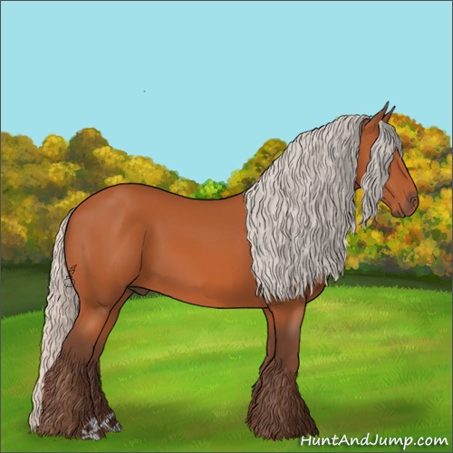 Horse Color:Silver Bay 