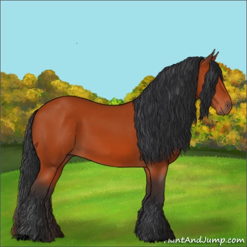 Horse Color:Void Bay 