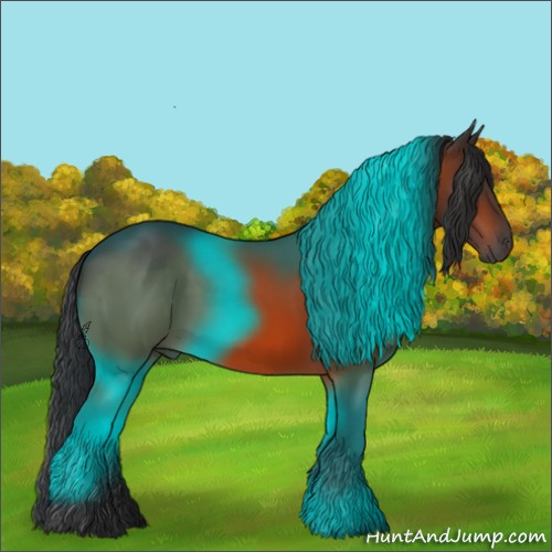 Horse Color:Brown Rabicano 