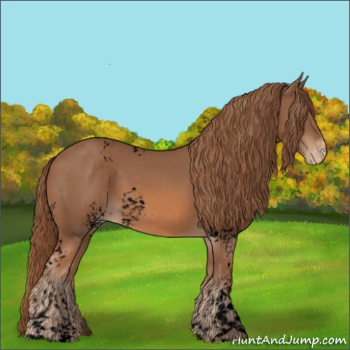 Horse Color:Void White Spotted Chestnut Appaloosa 