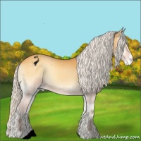 Horse Color:Void Silver Buckskin Onyx Varnish 