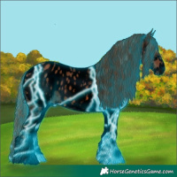 Horse Color:Void Thunderstruck White Spotted Chestnut Appaloosa 