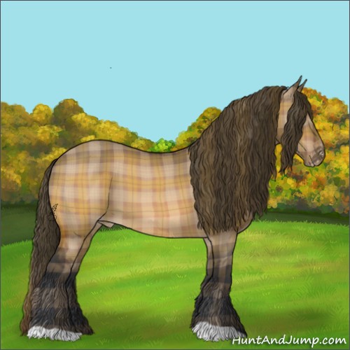 Horse Color:Plaid  Bay Dun Appaloosa 