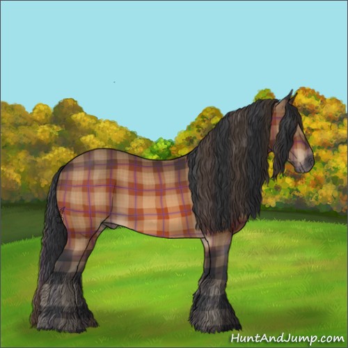 Horse Color:Plaid  Brown 