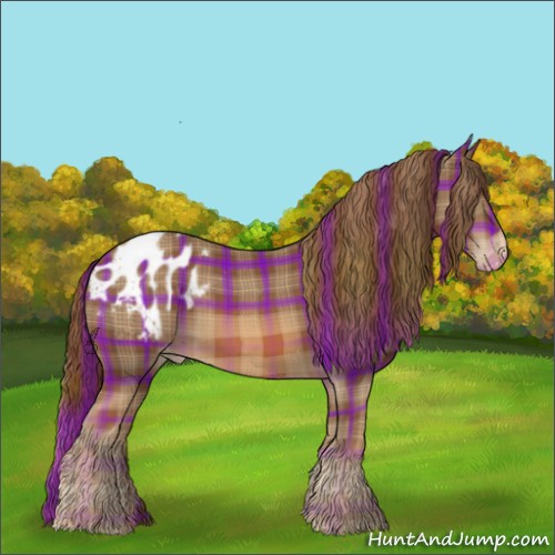Horse Color:Plaid  Chestnut Appaloosa Rabicano 