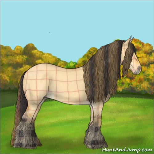 Horse Color:Plaid  Buckskin Dun 