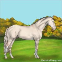 Horse Color:Silver Sable Champagne Dun Tobiano 
