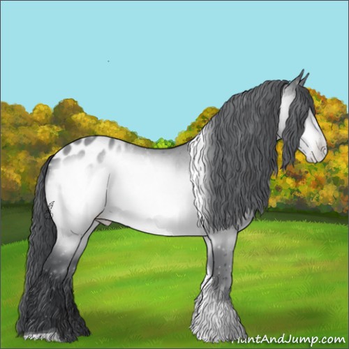 Horse Color:Brown Chinchilla Tobiano Appaloosa 