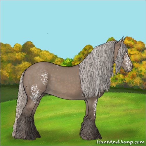 Horse Color:White Spotted Silver Grullo 