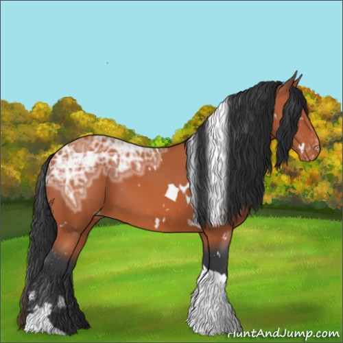Horse Color:White Spotted Bay Ice Tobiano Appaloosa