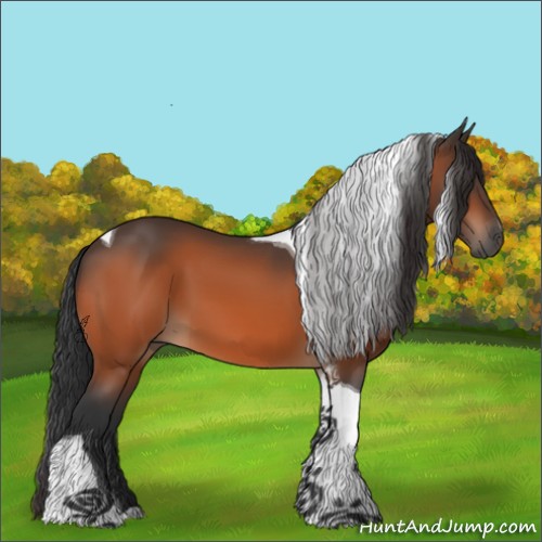Horse Color:Brown Tobiano 