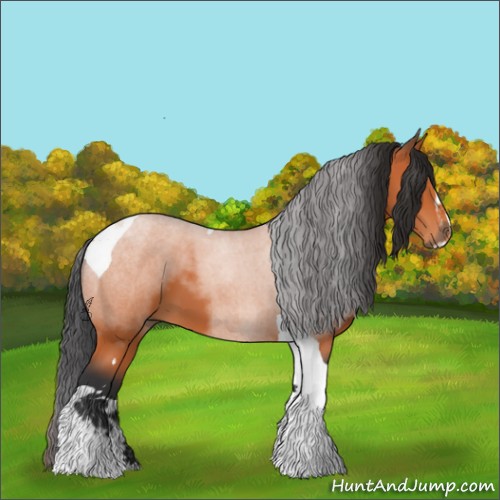 Horse Color:Bay Sabino Tobiano 