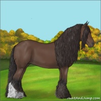Horse Color:Bay Tobiano 