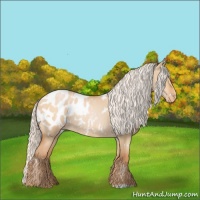 Horse Color:White Spotted Silver Bay Roan Pearl Dun Blanket 
