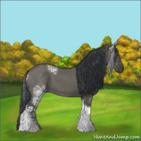 Horse Color:White Spotted Grullo Tobiano 