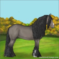 Horse Color:Grullo Sabino Rabicano 