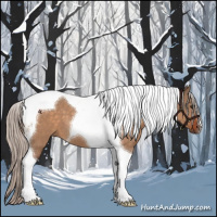 Horse Color:Silver Brown Dun Tobiano 