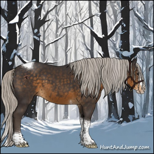 Horse Color:Silver Smoky Black Splash Tobiano