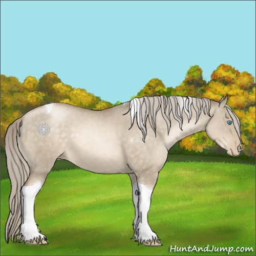 Horse Color:Chocolate Palomino Pearl Dun Tobiano