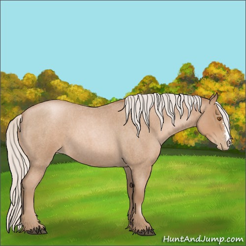 Horse Color:Silver Blue Roan Pearl 