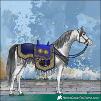 Horse Color:White Spotted Blue Roan Rabicano  and White Spotted Grullo Roan Rabicano 