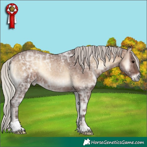 Horse Color:Silver Brown Ice Roan Onyx Rabicano 