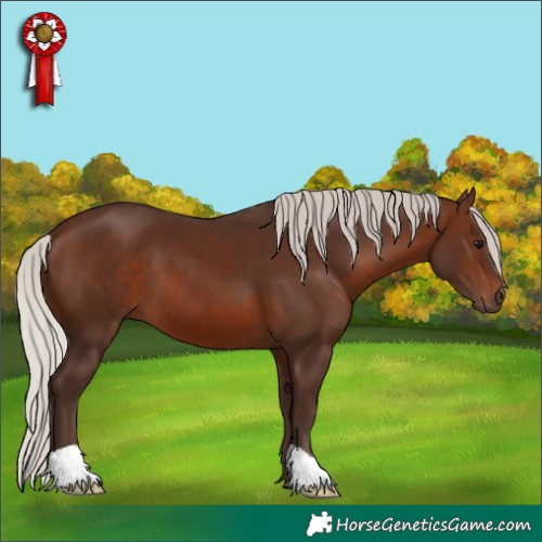 Horse Color:Silver Brown 