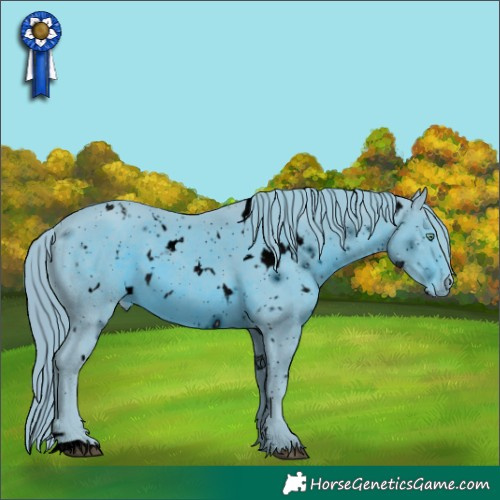 Horse Color:ERROR: UNKNOWN ANOMALY