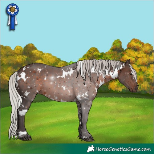 Horse Color:White Spotted Silver Brown 