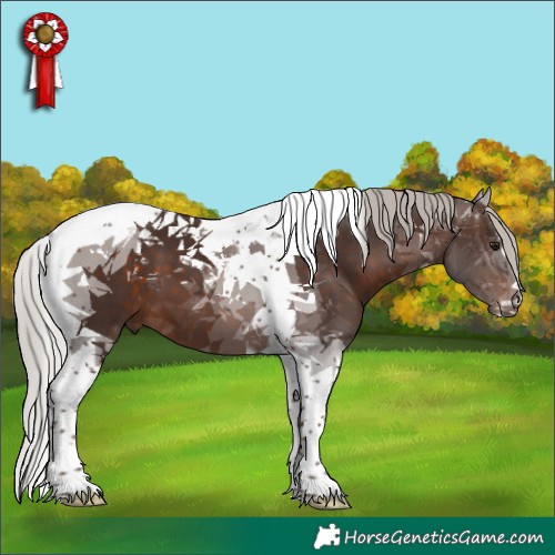 Horse Color:Silver Brown Tobiano 