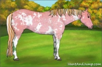 Horse Color:Painted Watercolor White Spotted Silver Buckskin 