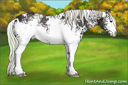 Horse Color:Watercolor White Spotted Midnight Silver Blue Onyx Ice Rabicano 