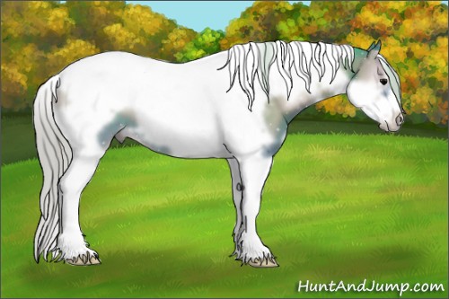 Horse Color:Watercolor White Spotted Silver Blue Onyx Tobiano Frame 
