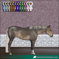 Horse Color:Silver Smoky Black 