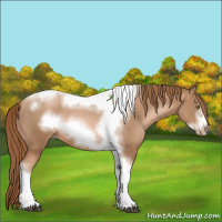 Horse Color:Liver Chestnut Pearl 