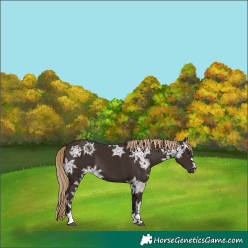 Horse Color:Liver Chestnut Ice 