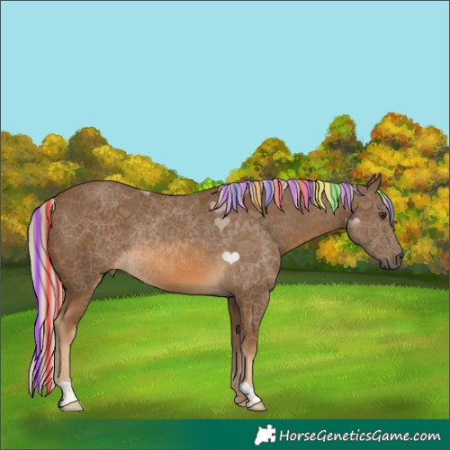 Horse Color:Painted Chocolate Palomino